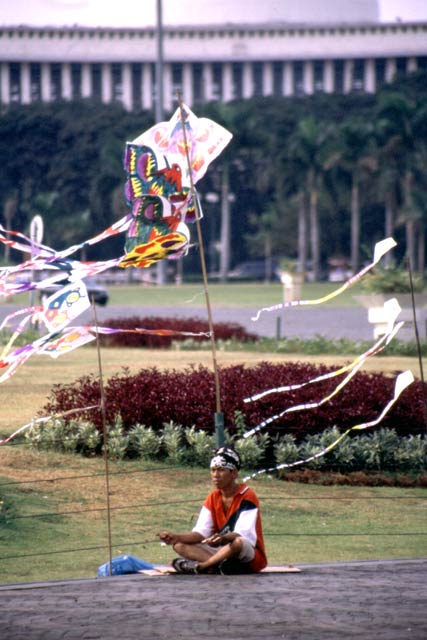 Dragon seller in Jakarta. Java,  Indonesia.