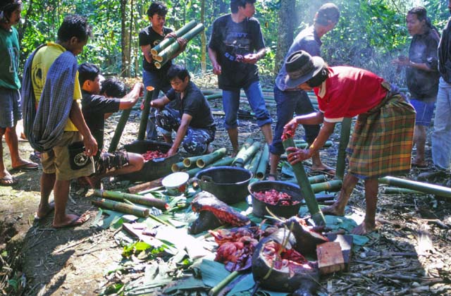 At funeral ceremony. Preparing food for guests. Tana Toraj area. Sulawesi,  Indonesia.