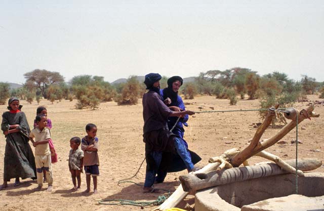 Well at the edge of an oasis. Sahara desert. Mali.