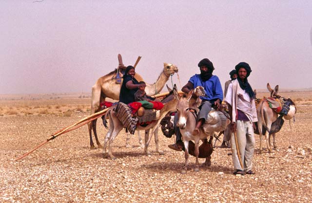 Tuaregs on the way to reach new place for living. Sahara desert. Mali.