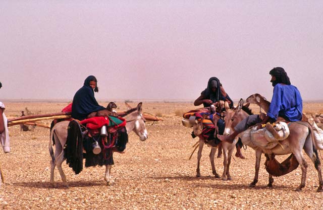 Tuaregs on the way to reach new place for living. Sahara desert. Mali.