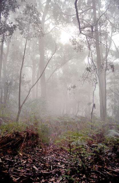 Grampians national park. Australia.