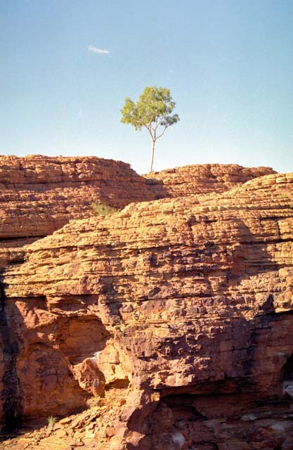 Area called Kings Canyon (Watarrka National Park). Australia.