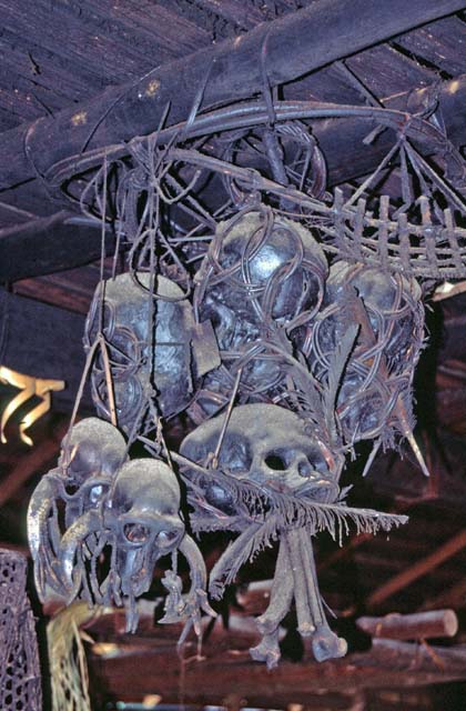 Inside of the longhouse - skulls of animals. Cultural village near Kuching. Sarawak,  Malaysia.