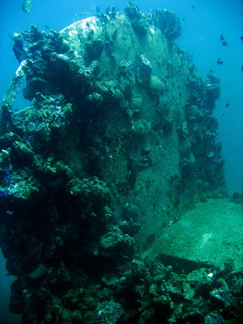 Diving around Togian islands, Kadidiri, plane wreck B24 from the 2nd World War sunken on Mai 3rd, 1945. Sulawesi,  Indonesia.