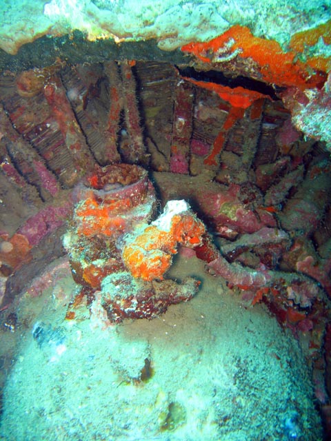 Diving around Togian islands, Kadidiri, plane wreck B24 from the 2nd World War sunken on Mai 3rd, 1945. Sulawesi,  Indonesia.