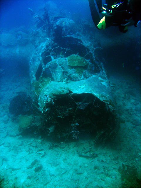 Diving around Togian islands, Kadidiri, plane wreck B24 from the 2nd World War sunken on Mai 3rd, 1945. Sulawesi,  Indonesia.