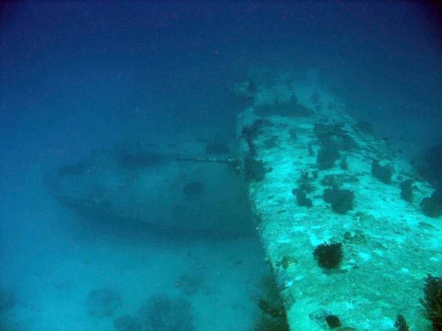 Diving around Biak islands, Catalina wreck dive site. Papua,  Indonesia.