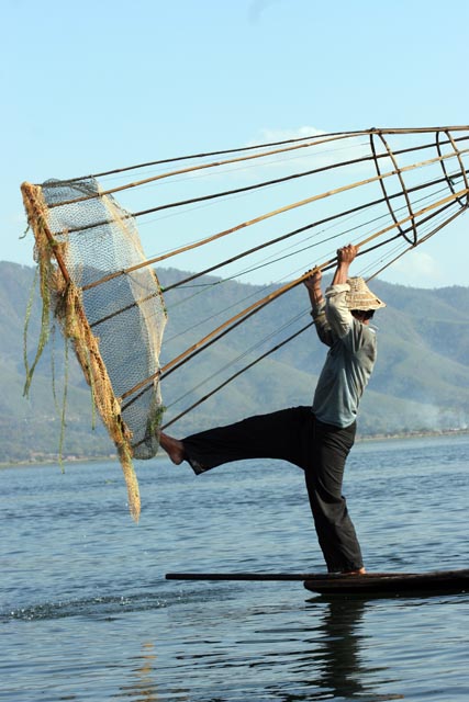 Traditional fishing, Inle Lake. Myanmar (Burma).
