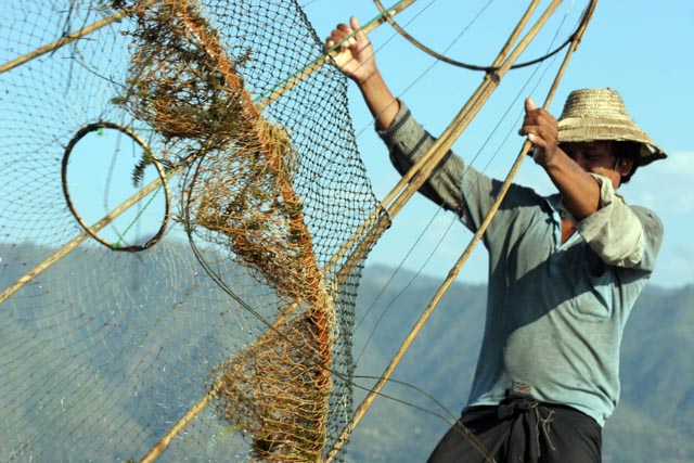 Traditional fishing, Inle Lake. Myanmar (Burma).