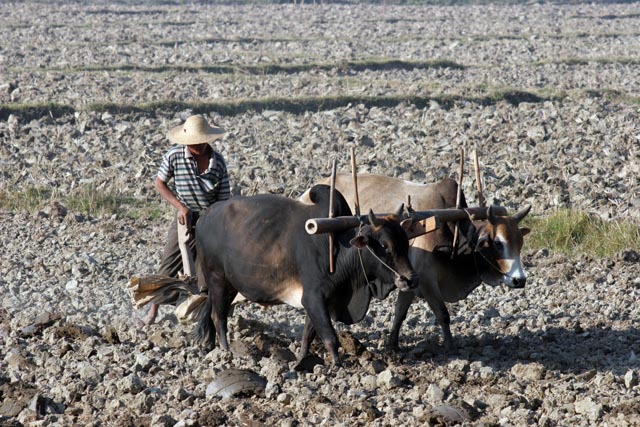 Villages around Inle Lake. Myanmar (Burma).