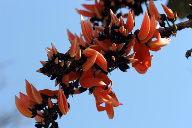Villages around Inle Lake. Myanmar (Burma).
