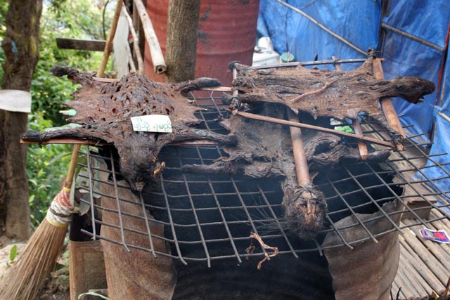 Traditional medicine stalls, Kyaiktiyo. Myanmar (Burma).