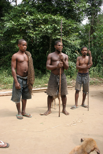 Pygmy hunters, village down to the Lobe River. The Pygmy people are gatherers and hunters. They hunt animals such as antelopes, pigs and monkeys, and also gather honey, wild yams, berries and other plants. Cameroon.