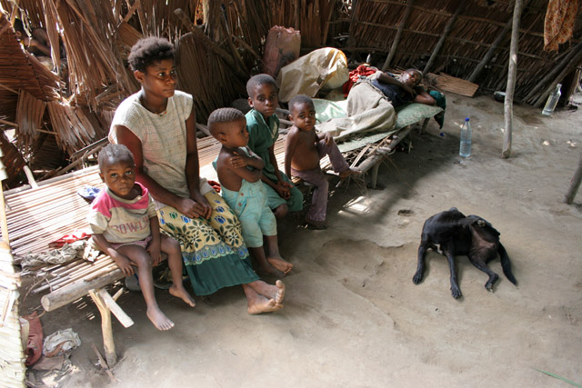Pygmy village down to the Lobe River. The Pygmy people are forest dwellers, know the forest, its plants and its animals. They live by hunting animals such as antelopes, pigs and monkeys, fishing, and gathering honey, wild yams, berries and other plants. Cameroon.