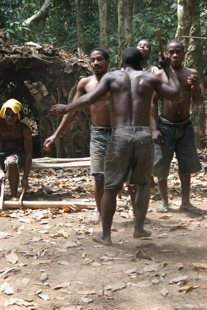 Traditional dance at Pygmy village down to the Lobe River. Cameroon.