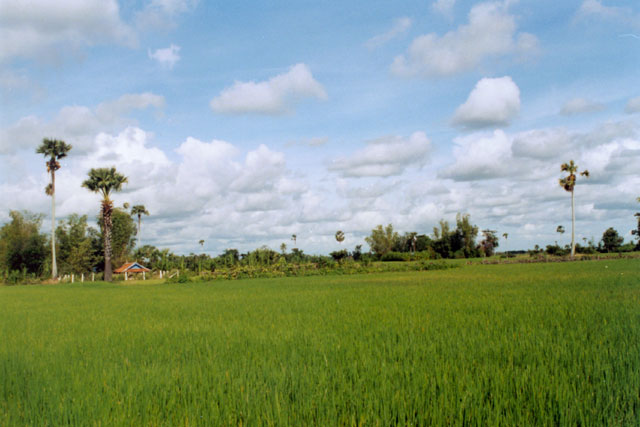 Road to Phnom Penh - from Vietnam. Cambodia.