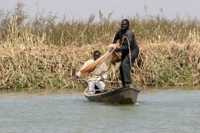 Fisherman. Lake Chad area. Cameroon.