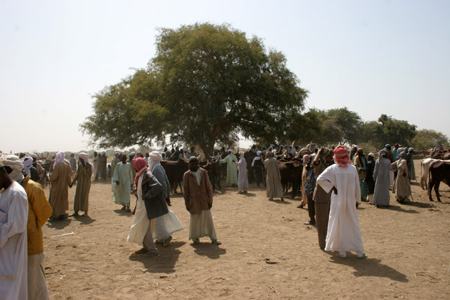 Market at the bank of Chari River. Lake Chad area. Cameroon.