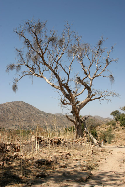 Mandara Mountains area. Cameroon.