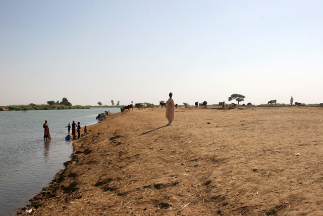 At Logone riverbank near Maga river. Cameroon.