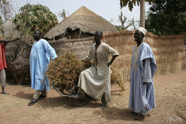 At street at Rey Bouba village. Cameroon.