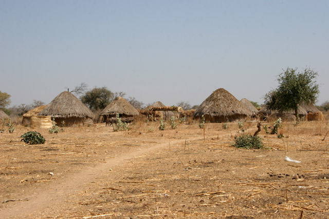 Local village behind Waza National Park gate direction to the Maga village. Cameroon.