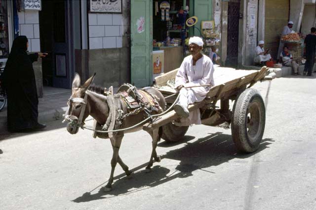 Street in Luxor. Egypt.