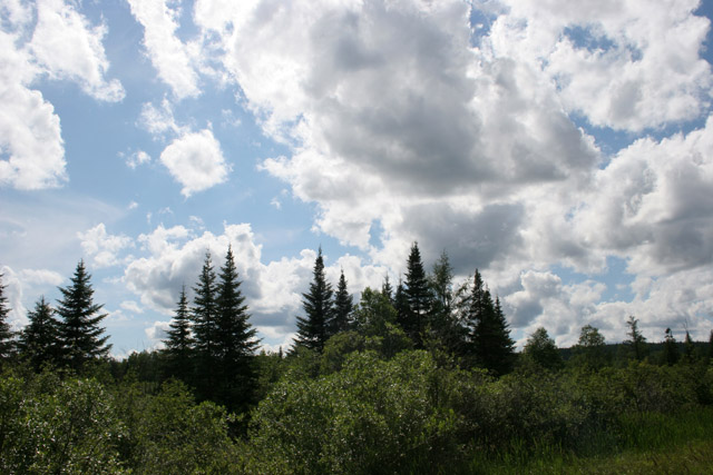 North Shore area, Minnesota. United States of America.