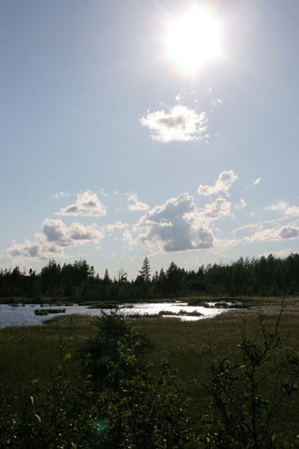 North Shore area, Minnesota. United States of America.