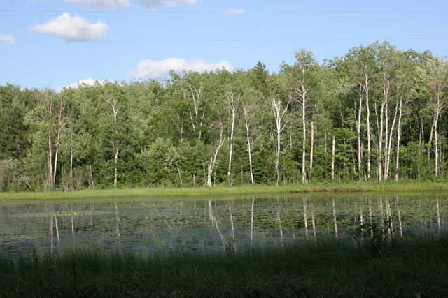 North Shore area, Minnesota. United States of America.