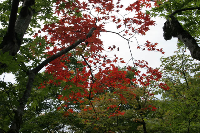 Ginkaku-ji temple (Temple of Silver Pavilon), Kyoto. Japan.