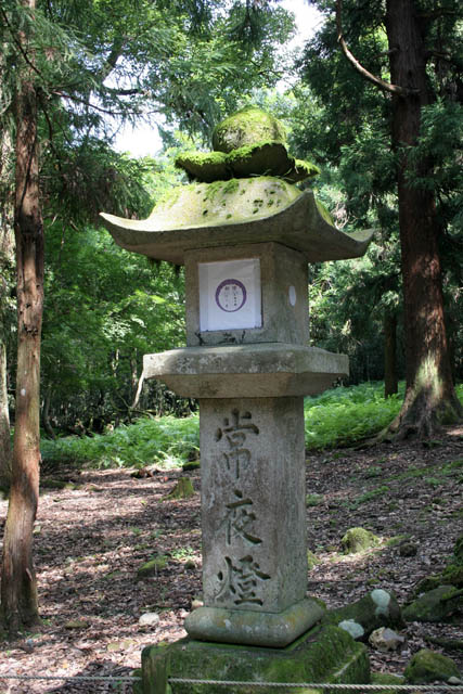 Kasuga Grand shrine, Nara. Japan.