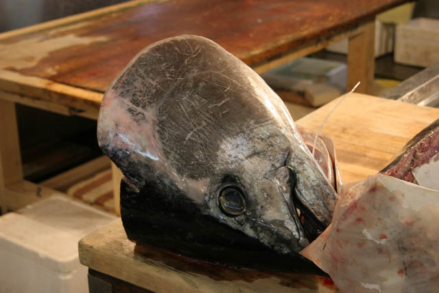 Tsukiji fish market, Tokyo. Japan.