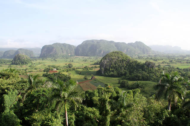 Vinales valley (Valle de Vinales). Cuba.