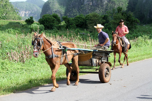 Vinales valley (Valle de Vinales). Cuba.