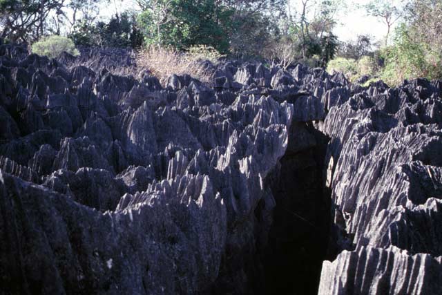 Petits Tsingy, Tsingy de Bemaraha National park. Madagascar.