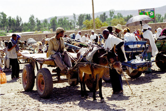Market at Aksum. North,  Ethiopia.