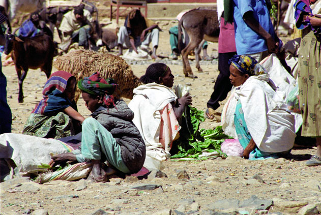 Market at Aksum. North,  Ethiopia.